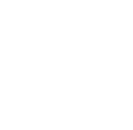 TPN Logo